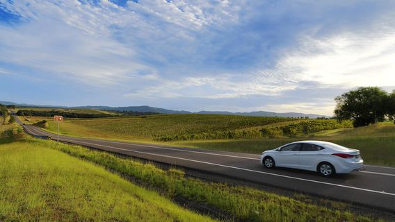Tourist Drive 33
