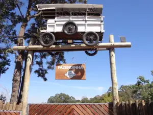 Fazendinha Zoomix