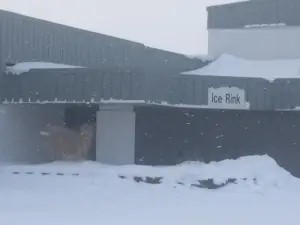 Wexford County Civic Arena