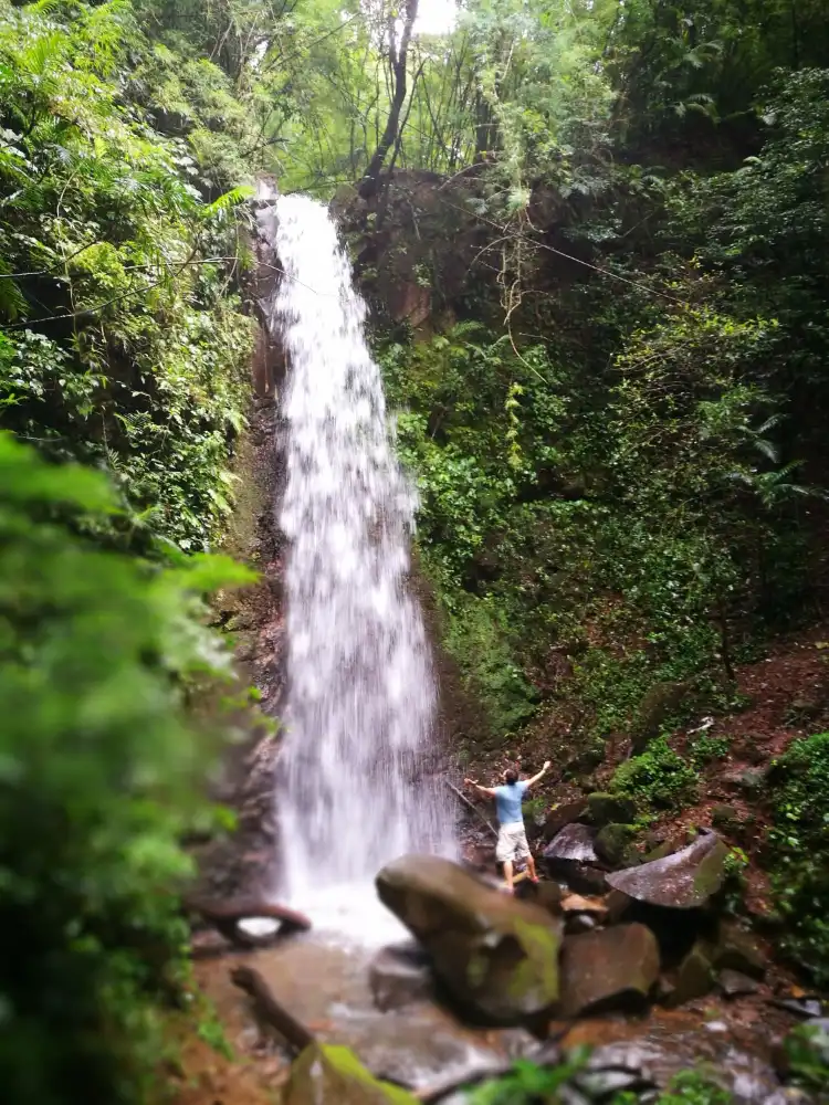 Hotels near Reserva Forestal Grecia Sector Bosque del Nino