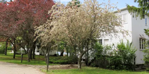 Maison Paul-Emile Borduas