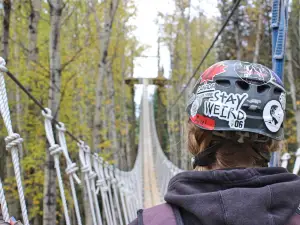 Treeosix Adventure Parks | Waskesiu