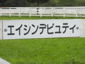 Lex Stud, Racehorse Breeding Farm