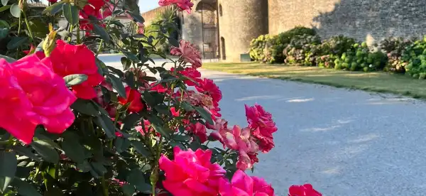 Hotels in Roncade