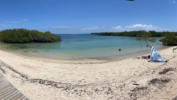 Playa de los Alemanes
