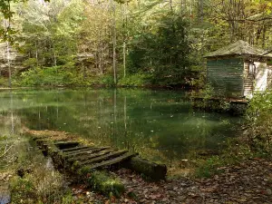Olivia's Overlook