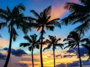 Unique Tahiti