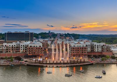 Branson