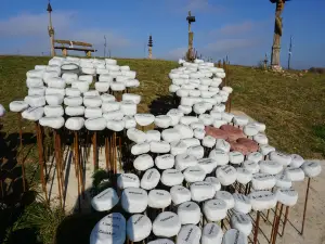 Hill of Angels