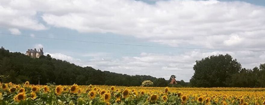 Cycle South West France