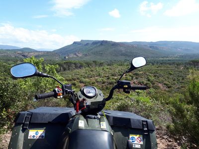 S-QUAD