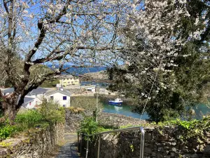 Puerto de Viavelez