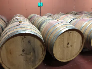 Tierra de Barros