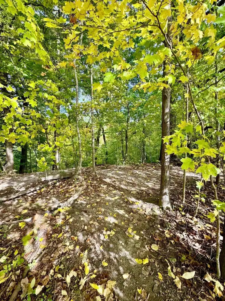 Hotels near Robert E Meyers Park