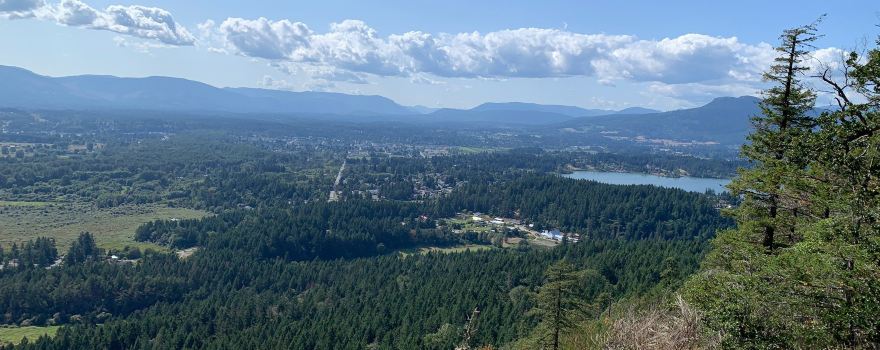 Maple Mountain trails