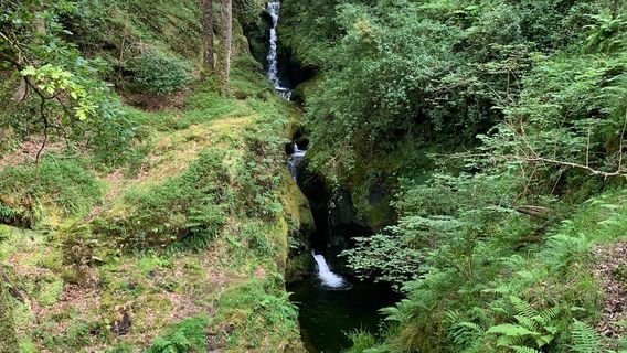 Wicklow