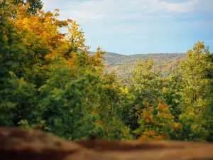 Mont SM - Vélo de montagne