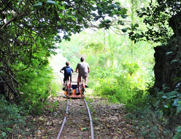 Ecotrax Fiji