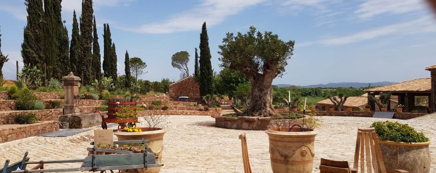 Chateau Saint Roux