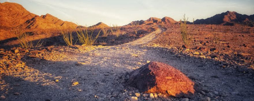 Telegraph Pass Trailhead