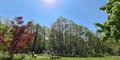 Donington and Albrighton Nature Reserve