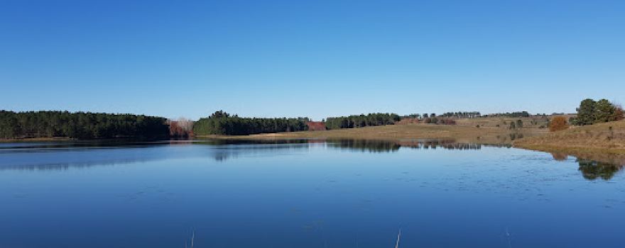 Vista de Lago de la Juventud