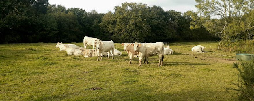 Réserve Naturelle de la Sangsurière et de l'Adriennerie