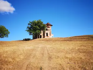 Roșianu Castle