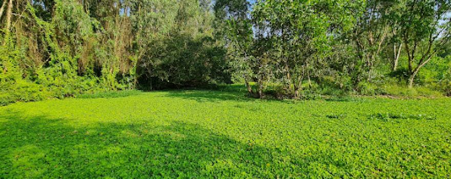 Mua Xuan Nature Reserve