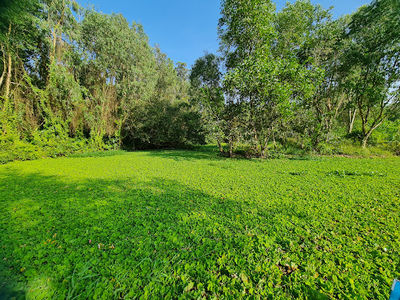 Mua Xuan Nature Reserve