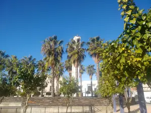 Parque De Los Patos