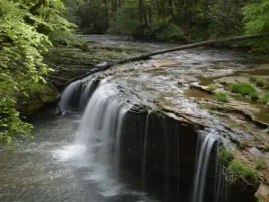 Princess Falls Trailhead