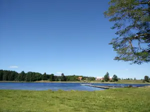Skogsjöområdets Naturreservat