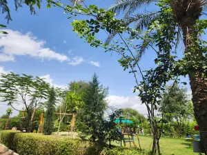 Kaka's Garden
