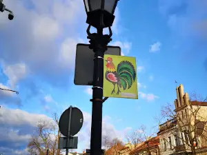 Nowy Rynek