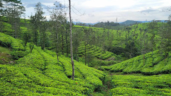 Shaj periyar adventure tours