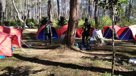 WIHELMINA WATES CAMP