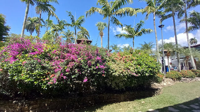 Hacienda Los Caballos