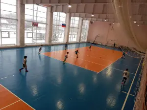 Ledovyy Dvorets "Flagman"
