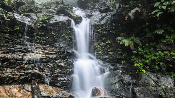 Wentworth Falls
