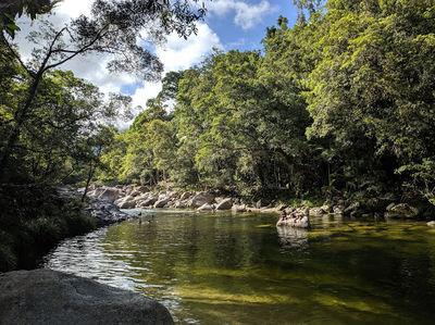 Mossman River Lookout