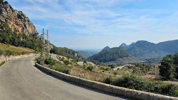Buñola