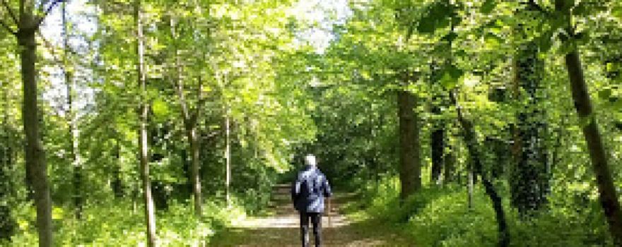 Parco Dello Strone
