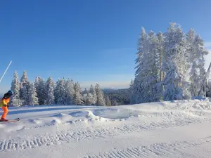 Station de ski alpin - La Mauselaine