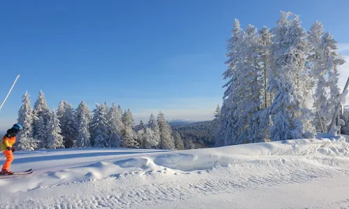 Station de ski alpin - La Mauselaine