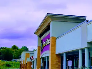 Planet Fitness