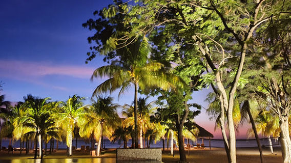 Guacalito de La Isla