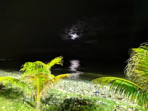 Parador Fotografico LA CEIBA