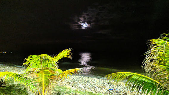 Parador Fotografico LA CEIBA