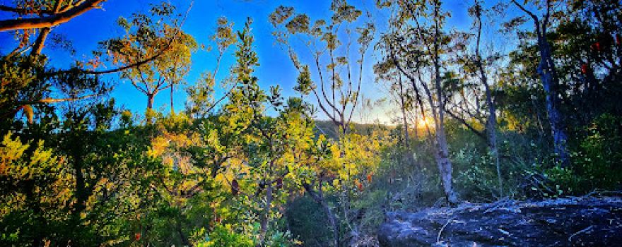 Mooray walking track